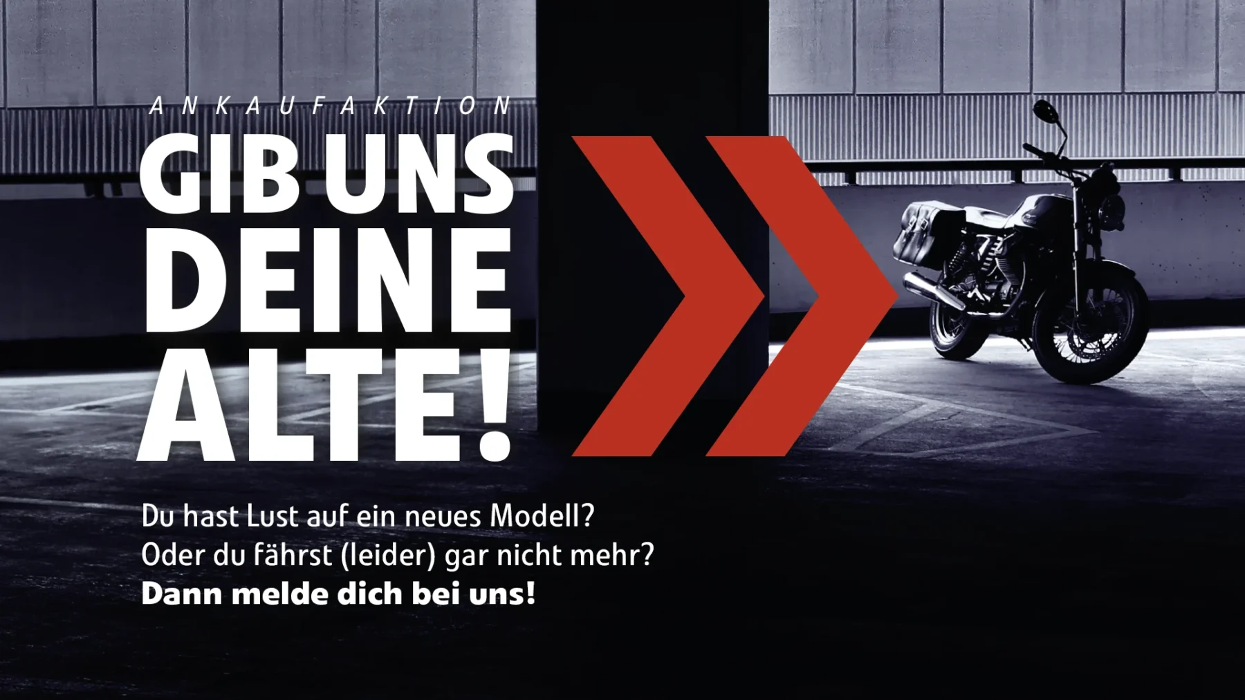 Ankauf bei Bolte